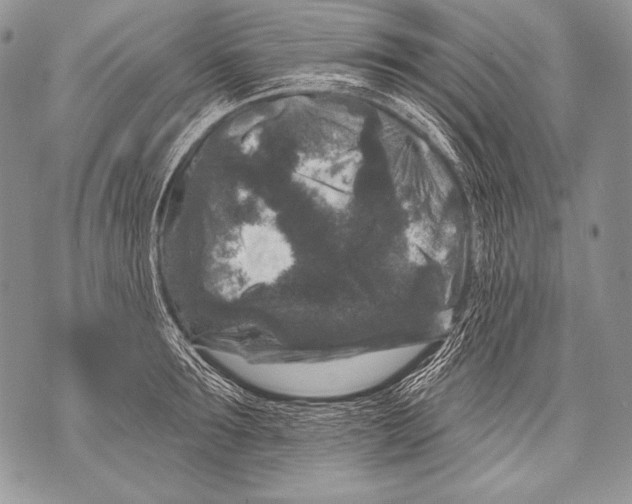 X0000071850899200607290129