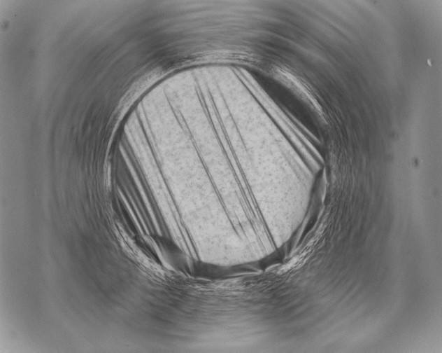 X0000071850900200607290129