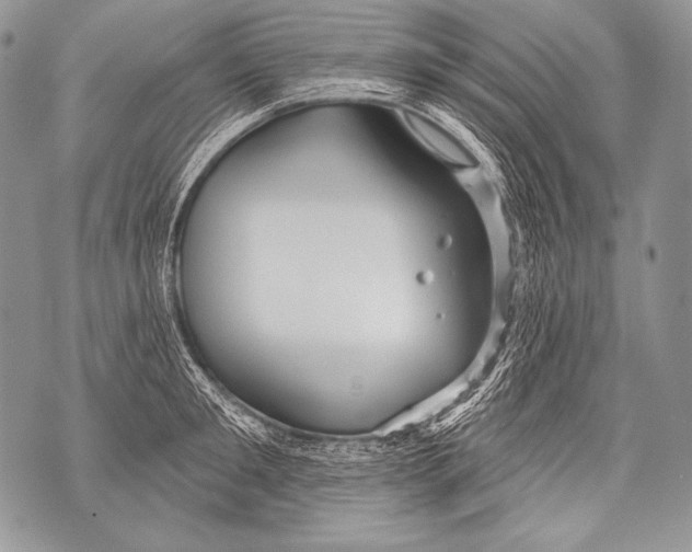 X0000071850901200607290129