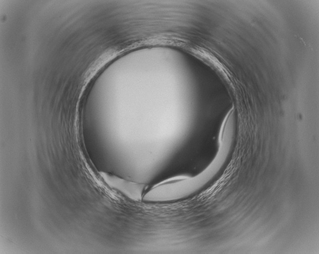 X0000071850902200607290129