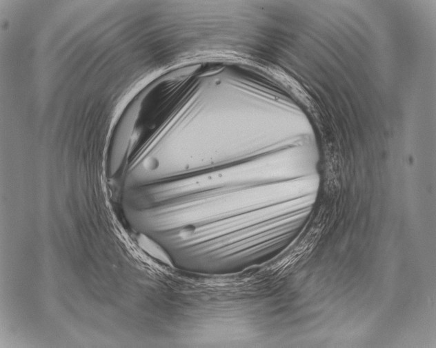 X0000071850904200607290129