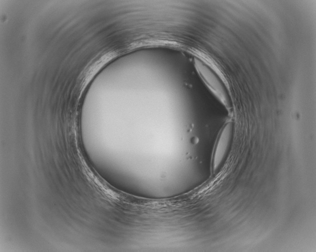 X0000071850906200607290129