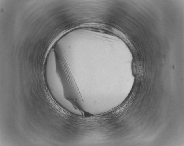 X0000071850908200607290129