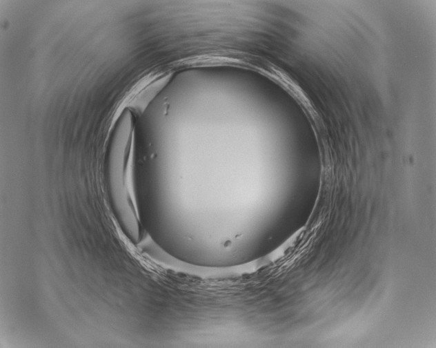 X0000071850909200607290129