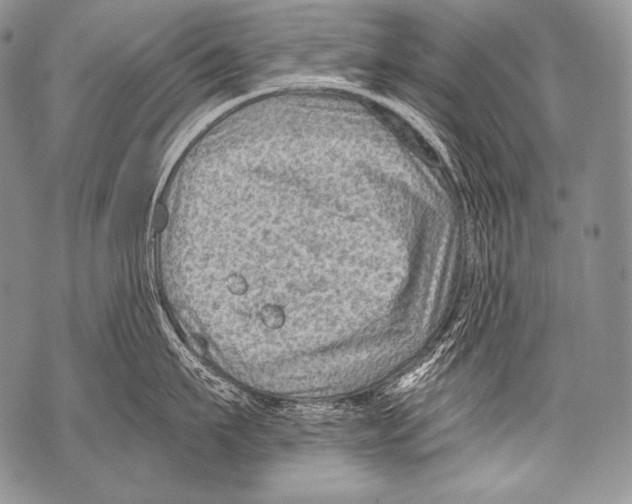 X0000071850911200607290129