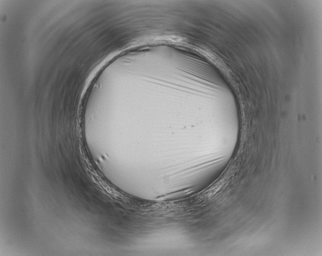 X0000071850912200607290129