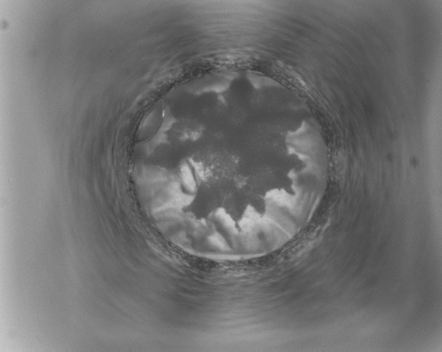 X0000071850913200607290128