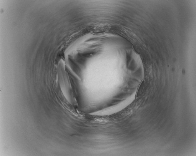 X0000071850914200607290128