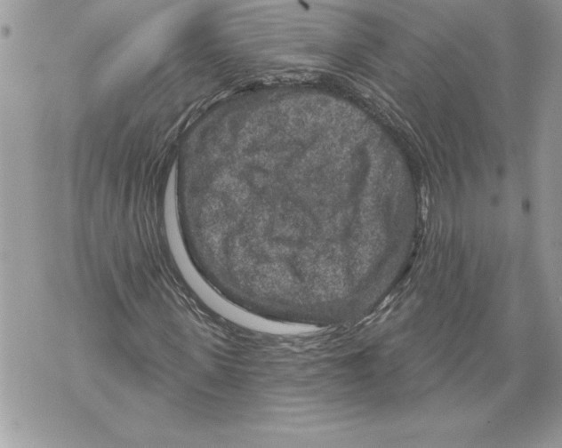 X0000071850915200607290128