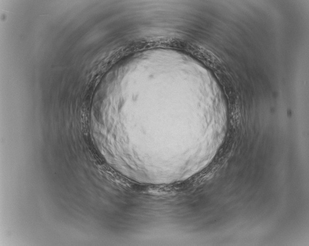 X0000071850917200607290128