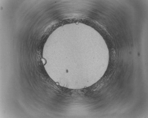 X0000071850918200607290128