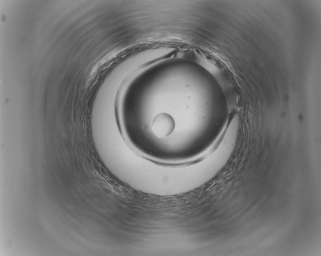 X0000071850920200607290129