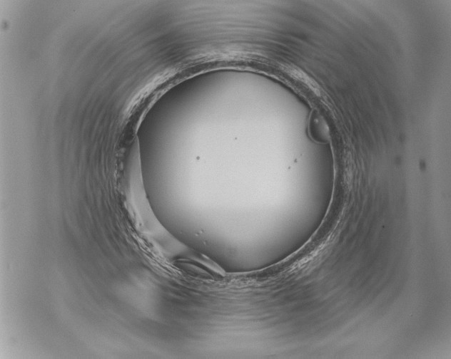 X0000071850922200607290129