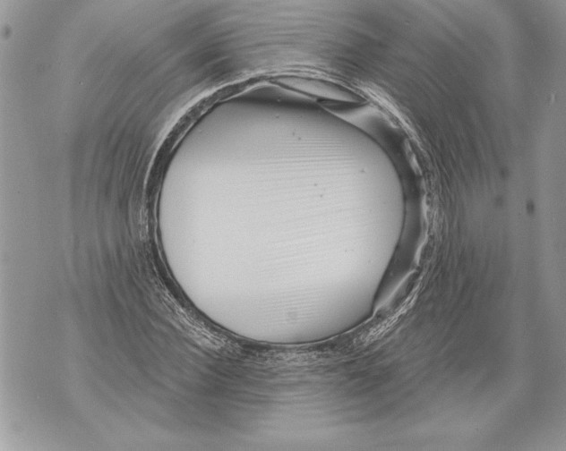 X0000071850924200607290129