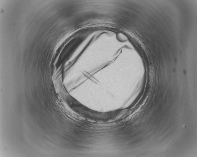 X0000071850925200607290129