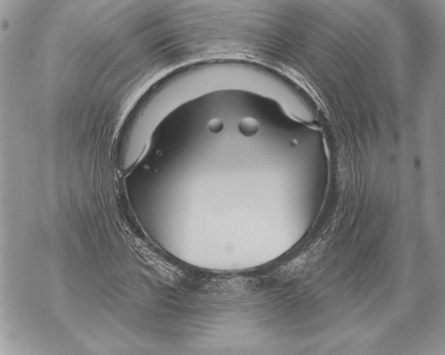 X0000071850926200607290129