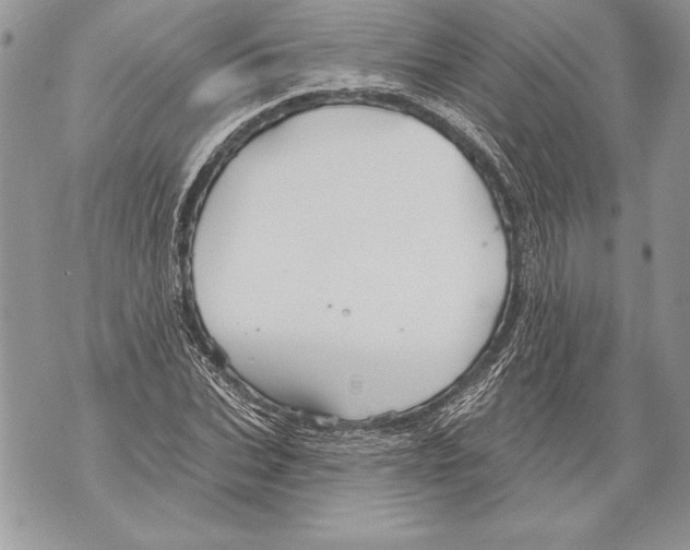 X0000071850927200607290129