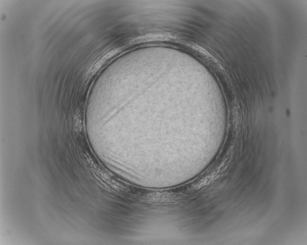 X0000071850929200607290129