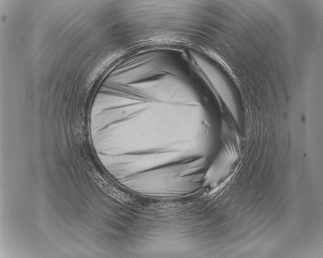 X0000071850930200607290129