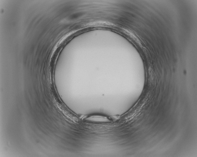 X0000071850931200607290129