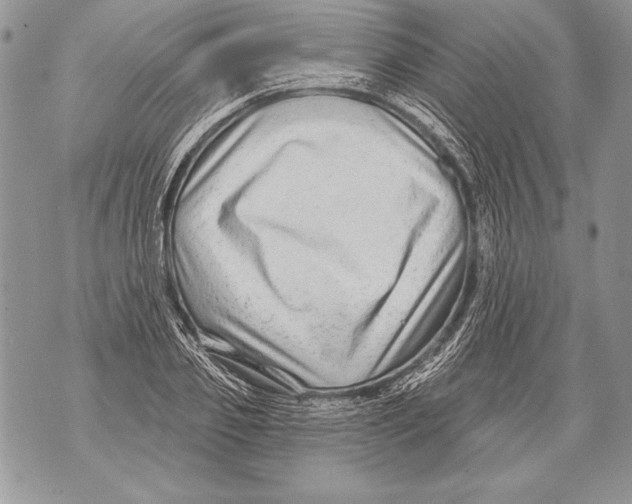 X0000071850933200607290129