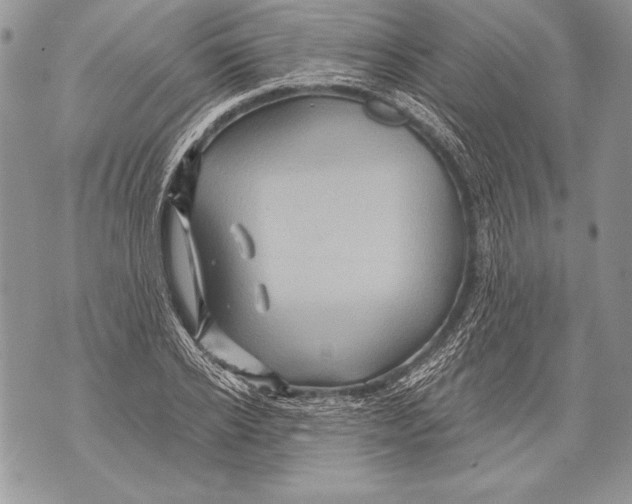 X0000071850934200607290129