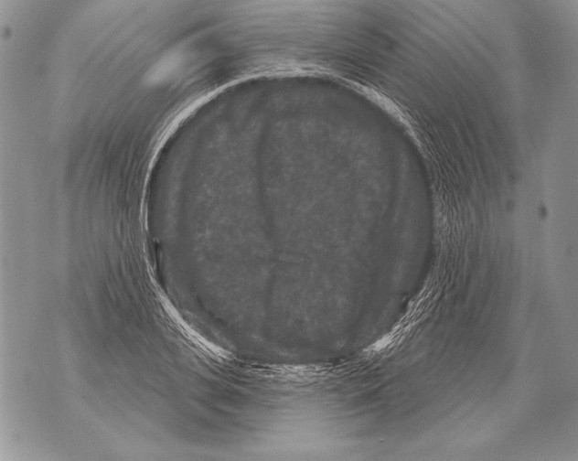 X0000071850935200607290129