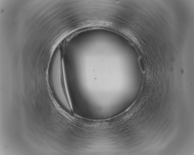 X0000071850936200607290129