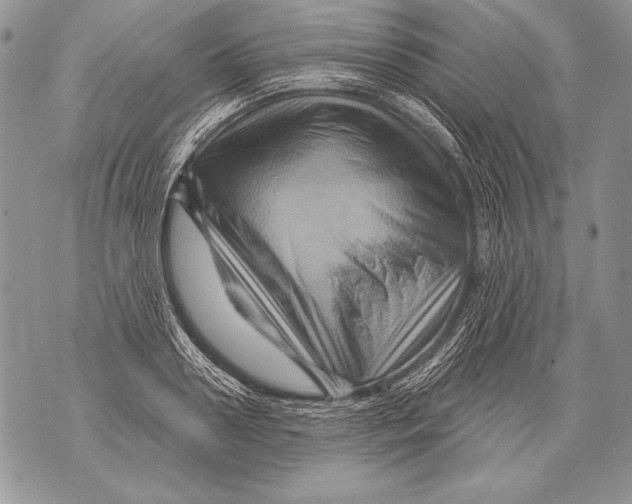 X0000071850938200607290129