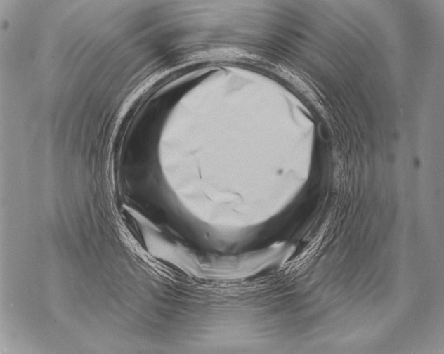 X0000071850939200607290129