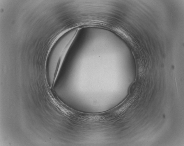 X0000071850940200607290129