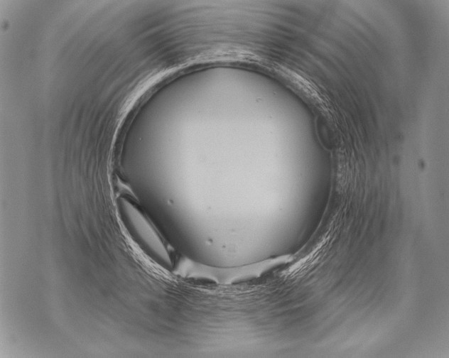 X0000071850942200607290129