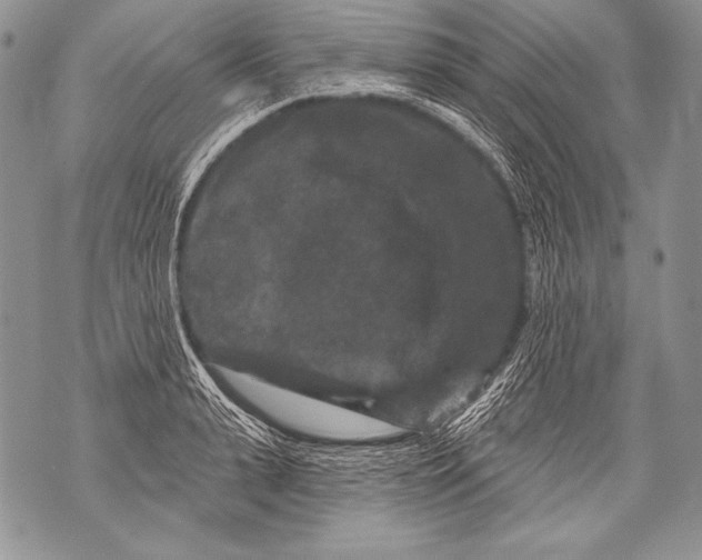 X0000071850943200607290129