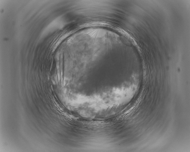 X0000071850945200607290129