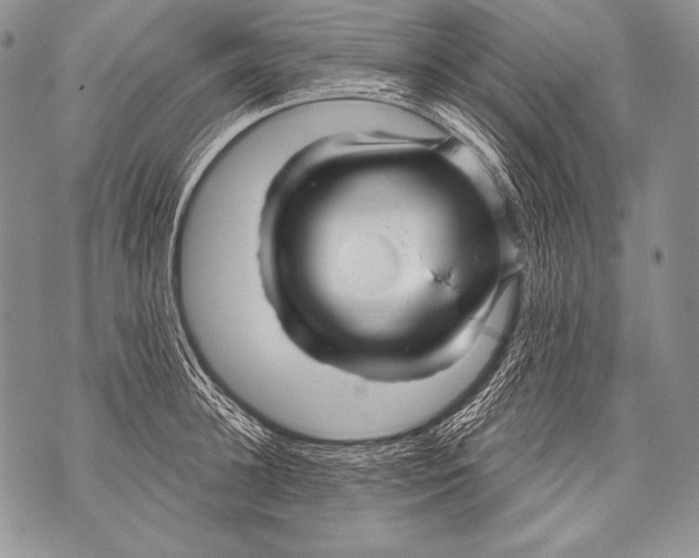 X0000071850948200607290129