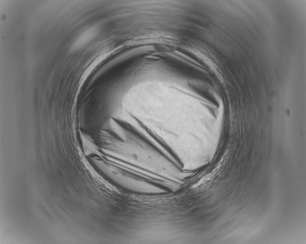 X0000071850949200607290129