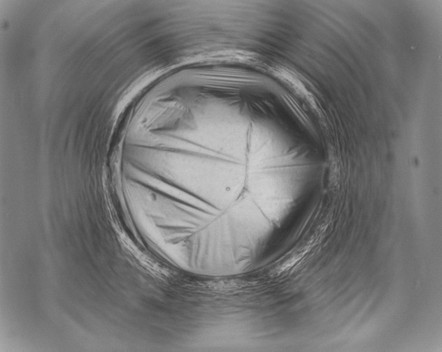 X0000071850952200607290129