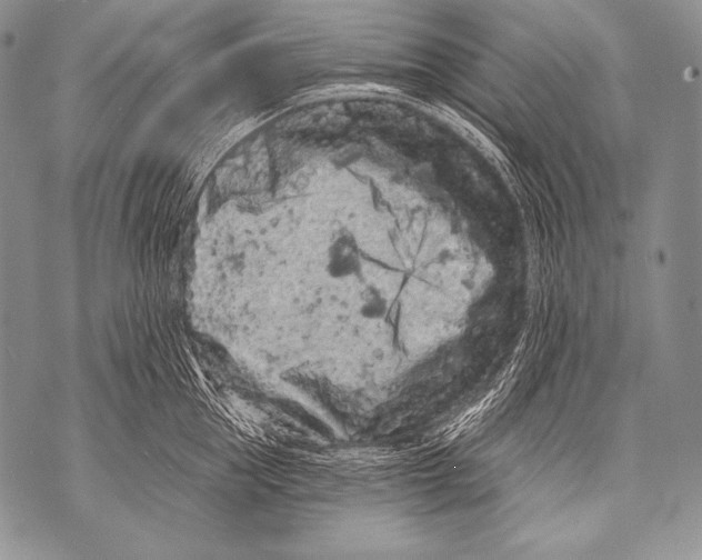 X0000071850953200607290129