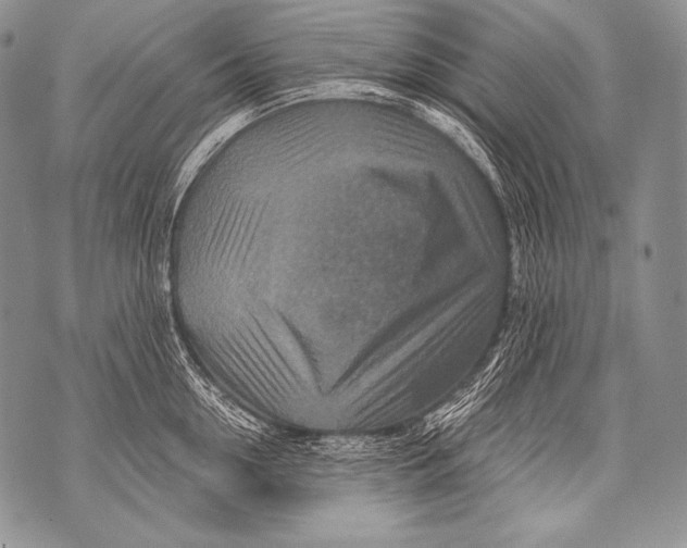 X0000071850954200607290129