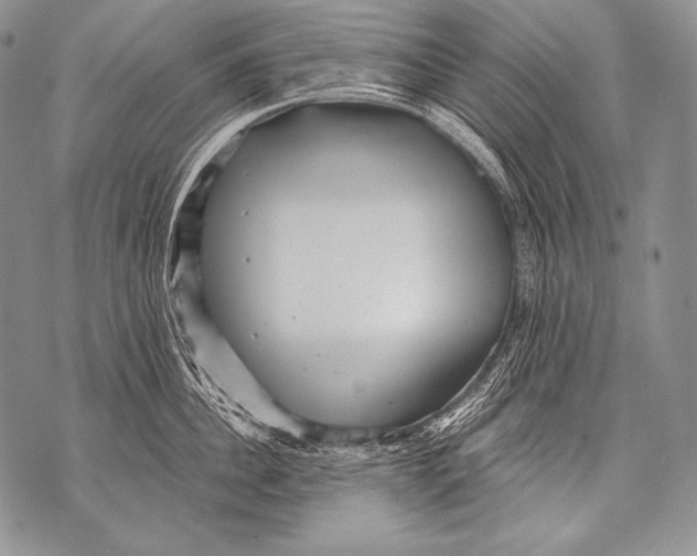 X0000071850956200607290129