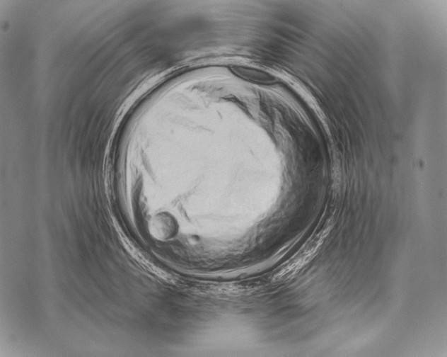 X0000071850957200607290129