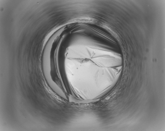 X0000071850960200607290129