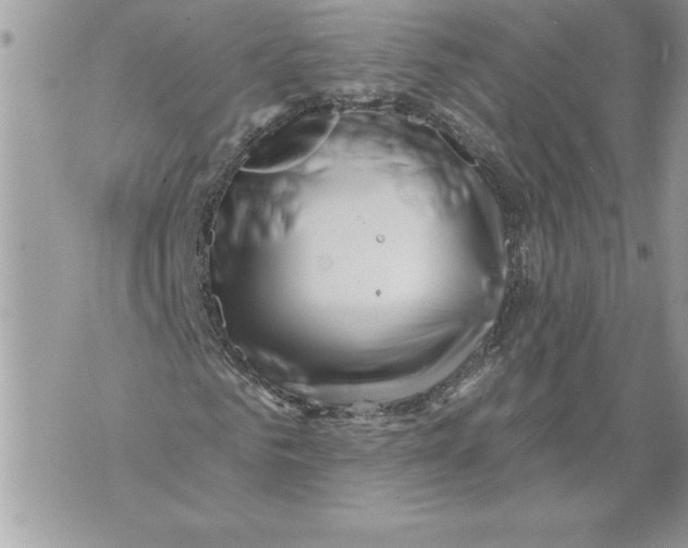 X0000071850961200607290128