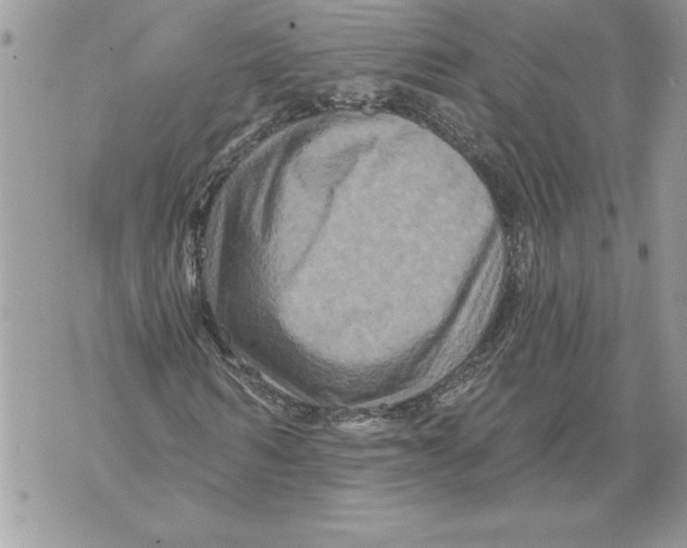 X0000071850962200607290128