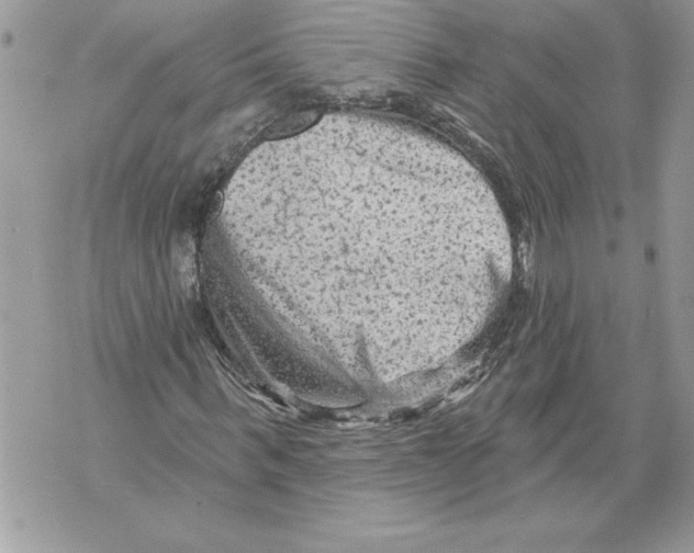 X0000071850963200607290128