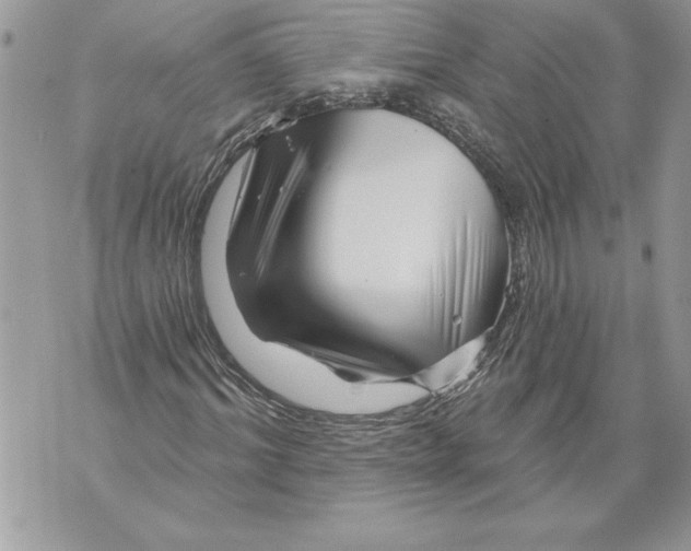 X0000071850964200607290128