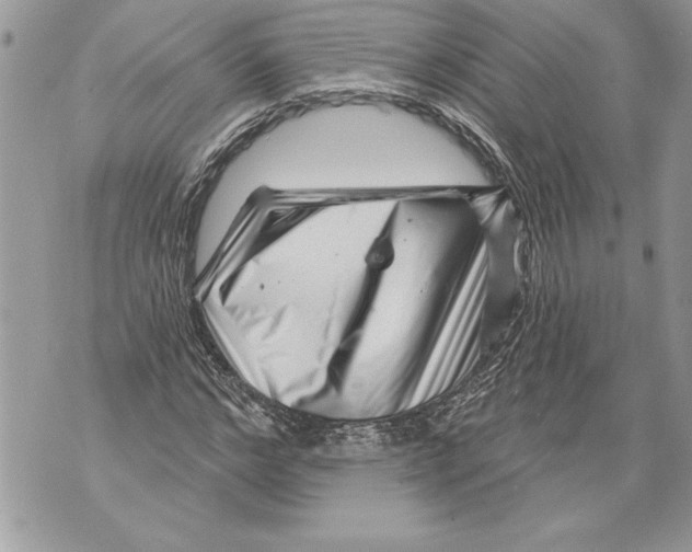 X0000071850968200607290128