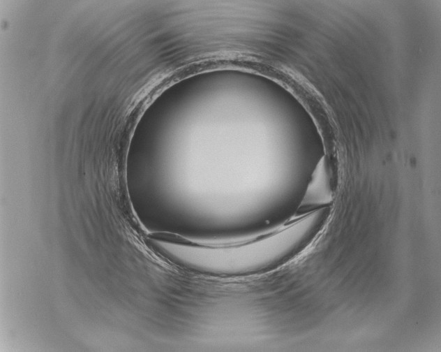 X0000071850969200607290128