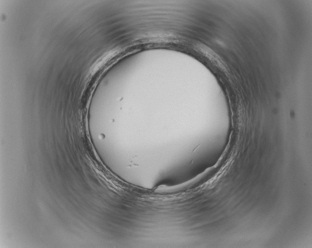 X0000071850970200607290128