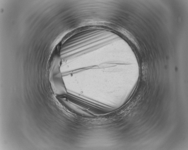 X0000071850972200607290128